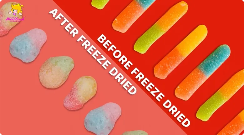 Custom Freeze Dried Gummies
